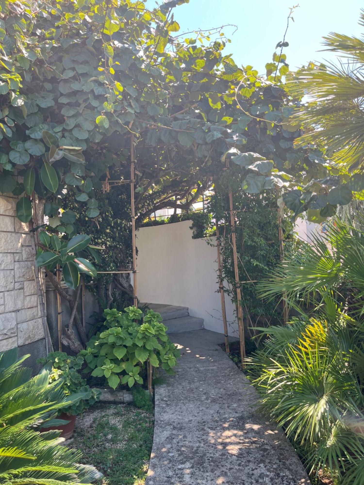 Apartman Mladenka San Pietro di Brazza Esterno foto