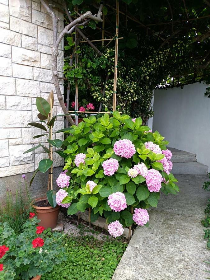 Apartman Mladenka San Pietro di Brazza Esterno foto
